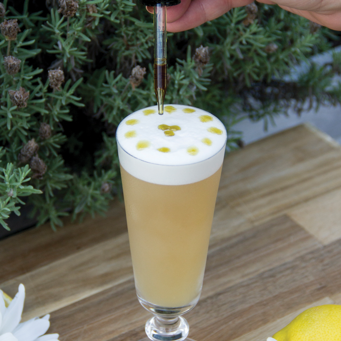 The Drinking Issue: Off the Sauce